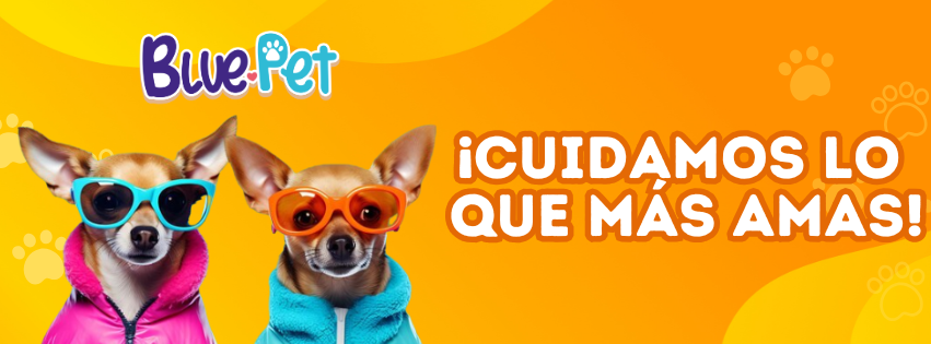 ¿Tu peludo tiene picazón constante? Este error común podría ser el culpable.