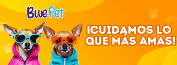 ¿Tu peludo tiene picazón constante? Este error común podría ser el culpable.