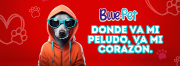 🐾✨ Entre nudos y caricias: el cuidado que tu peludo merece